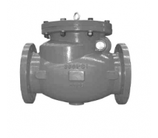 2 1/2" SCV ANSI F-706-W, DI, 300 PSI, ULFM/QCD