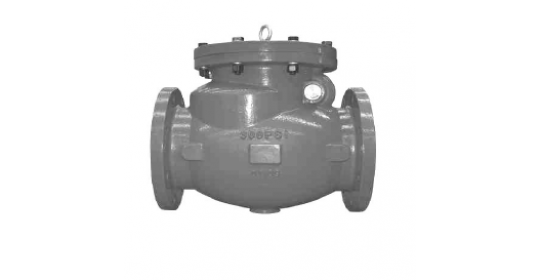 2 1/2" SCV ANSI F-706-W, DI, 300 PSI, ULFM/QCD