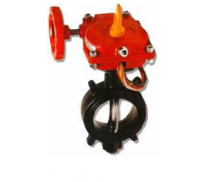 2 1/2" GRV BV, FW 300PSI UL/FM, QCD
