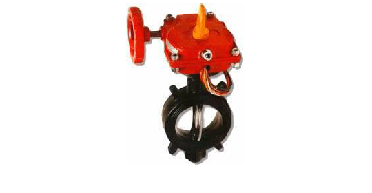 2 1/2" GRV BV, FW 300PSI UL/FM, QCD