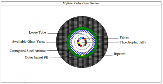 Cable External FO 12C 62.5/125 CLT Steel ARM - Black