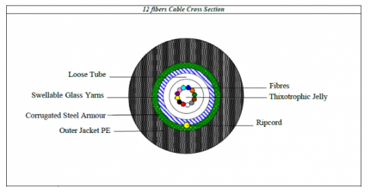 Cable External FO 12C 9/125 CLT Steel ARM - Black