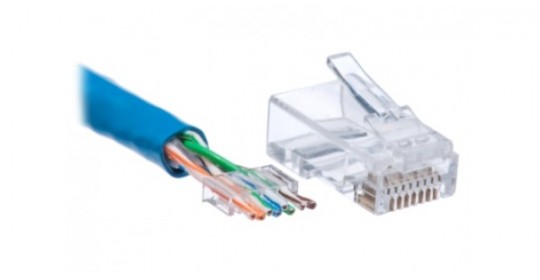 Connector RJ45 CAT6 50micron - Gold Plated
