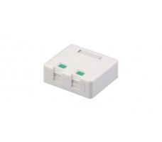 Wallmount Outlet Box RJ45 Dual With Shutter