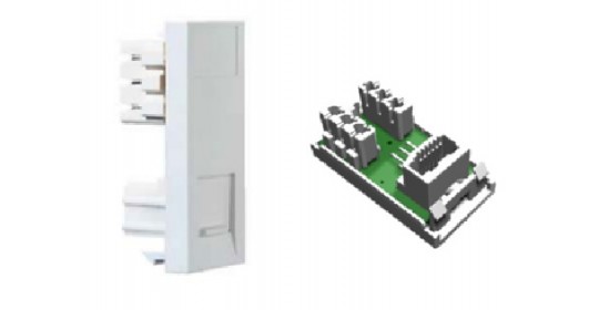 Module RJ45 - BT Secondary.