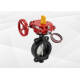 Fire and Safety