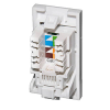 Module Euro RJ45 CAT6 50x25mm White -Webb. Module Euro RJ45 CAT6 50x25mm White -Webb.
